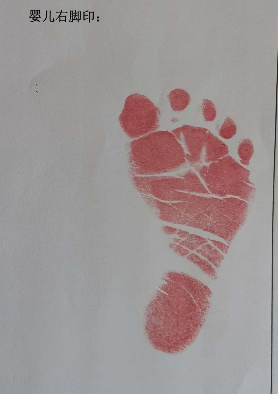 疫情之下她们用坚守迎来新生命的降临